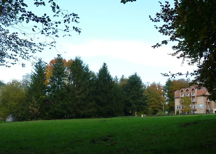 Hotel Logis Notre-dame - Restaurant Ouvert Midi Et Soir Sauf Dimanche Soir 3*